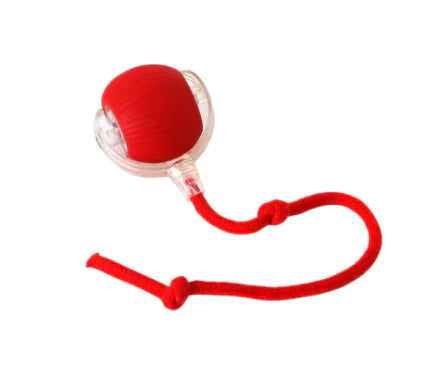 Smart Chase Cat Ball Set