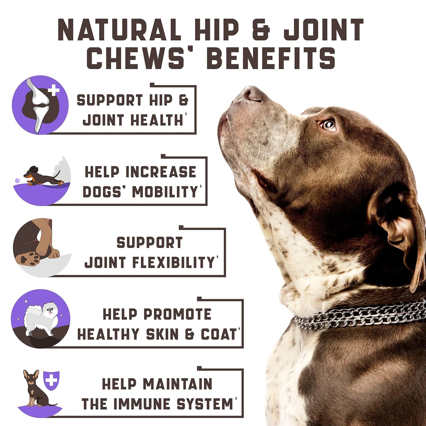Joint Health Chews for Dogs with Glucosamine & MSM
