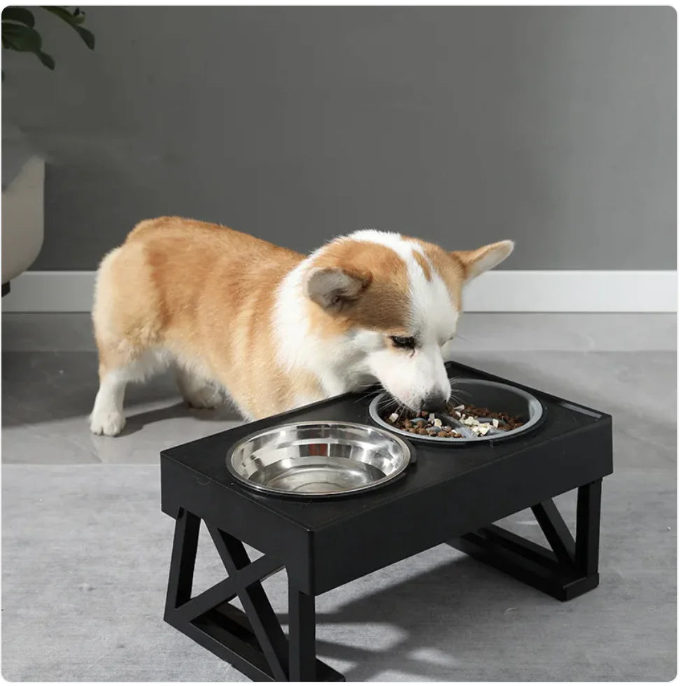 Adjustable Height Slow-Feed Dog Bowl