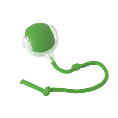 Smart Chase Cat Ball Set