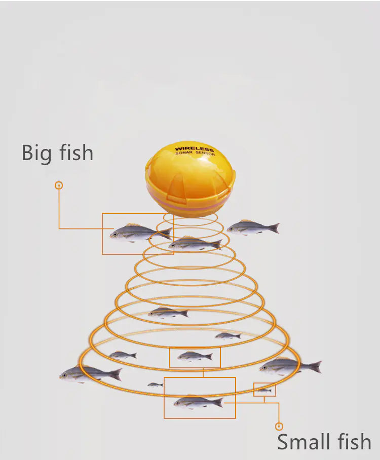 Smart Sonar Fish Tracker