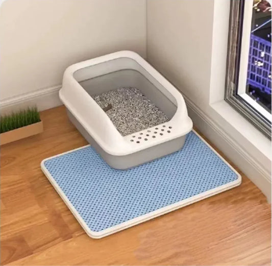 Dual-Layer Litter Control Mat