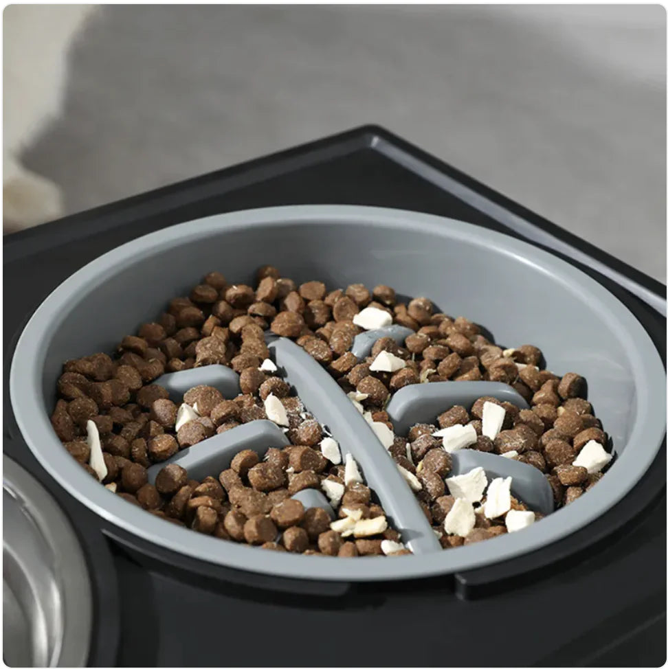 Adjustable Height Slow-Feed Dog Bowl