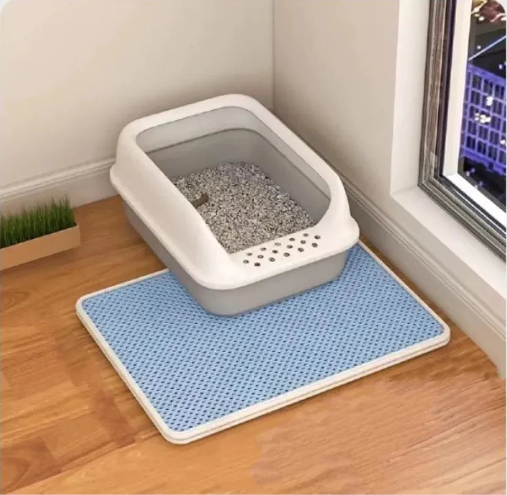 Dual-Layer Litter Control Mat
